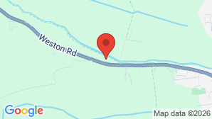 google map image