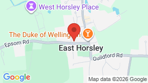 google map image