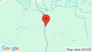 google map image