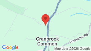 google map image