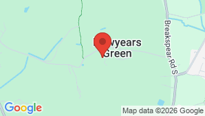 google map image