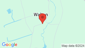 google map image