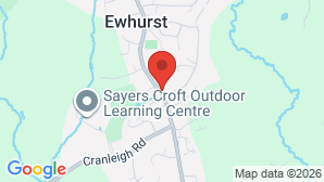 google map image