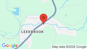 google map image