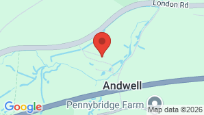 google map image