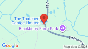 google map image