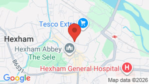 google map image