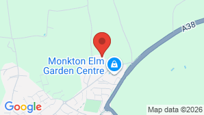 google map image
