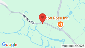 google map image