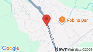 google map image