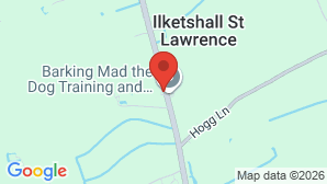 google map image