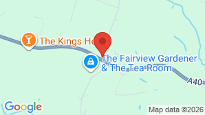 google map image