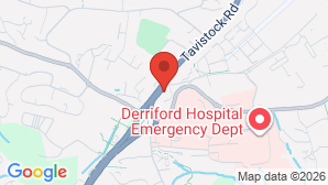 google map image