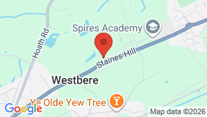 google map image