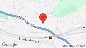 google map image