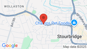 google map image