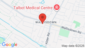 google map image