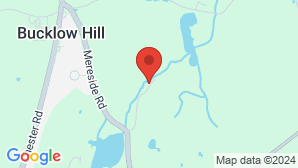 google map image