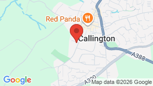 google map image