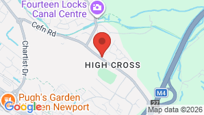 google map image