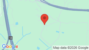 google map image