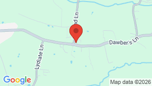 google map image