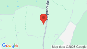 google map image