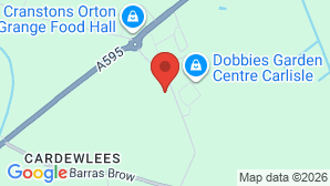 google map image