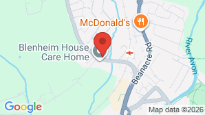google map image
