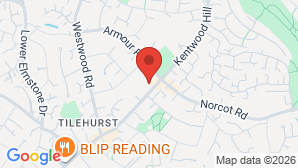 google map image