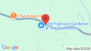 google map image