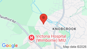 google map image