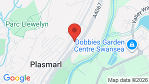 google map image