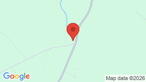 google map image