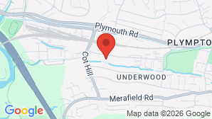 google map image