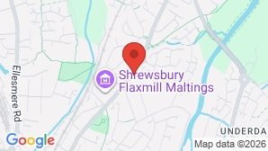 google map image