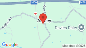 google map image