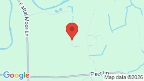 google map image