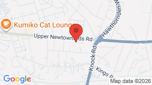 google map image