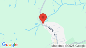 google map image