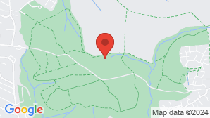 google map image