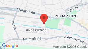 google map image