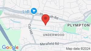 google map image