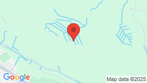 google map image