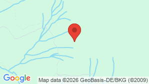 google map image