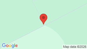 google map image