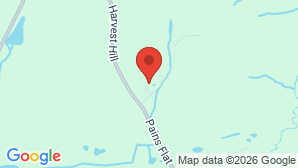 google map image