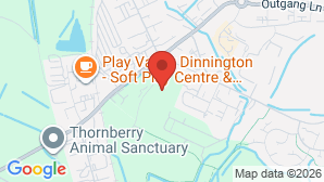 google map image