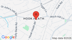 google map image