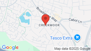 google map image